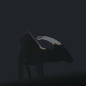 Meet your Posher, Arkan